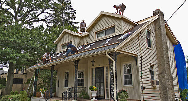 Best Shingle Roofing Installation  in Mount Olive, IL