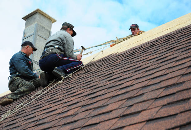 Best Best Roofing Contractors  in Mount Olive, IL